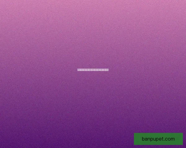 如何获得神武坐骑及坐骑培养提升全攻略详解